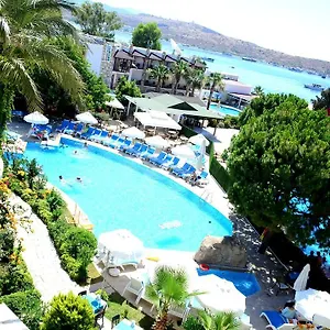 book here